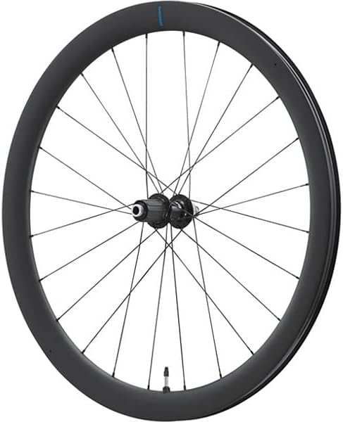 WH-RS710-C46-TL A 11/12S SHIMANO V}m