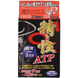 Ɛ ATP 3 6 6 Ɛ ATP 3 6X6 CNg[