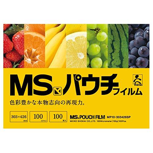 MSpE`tB@  MP100-303426 SP(A3) 1(100)