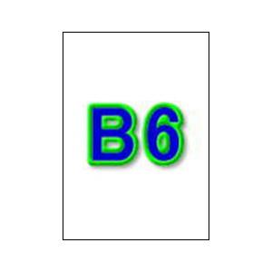 B6TCYv^[p㎿110kg 2,000 (TCY:B6 :2,000/1P[X) gVR[