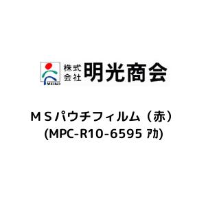 lrpE`tBiԁj (MPC-R10-6595 )
