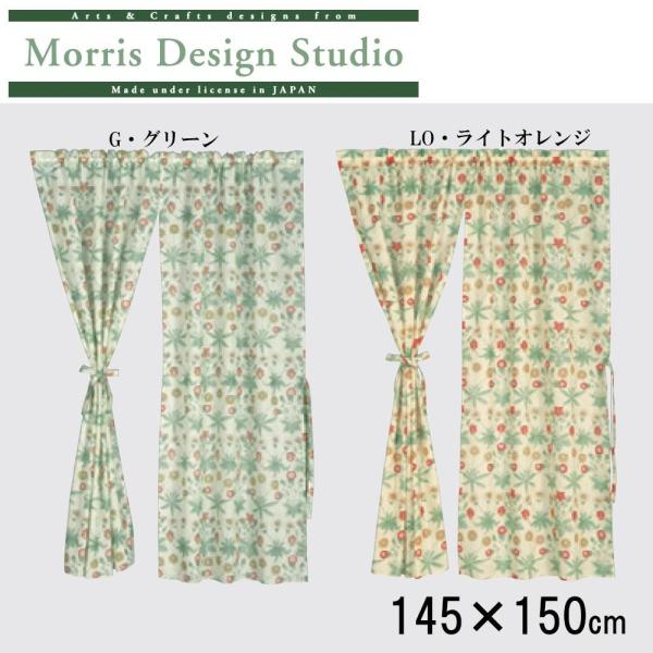 쓇DZR Morris Design Studio fCW[VA[ X^Ĉ(h) 145~150cm EJ1718 LOECgIW (1076712)