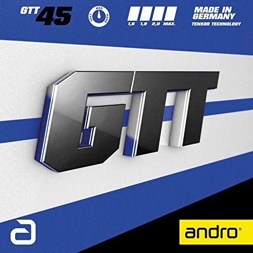 GTT_45 (112277) [F : AJ] [TCY : 1.6] andro(Ah)