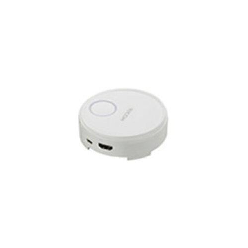 514300 RICOH Wireless Projection Option Button1(514300)