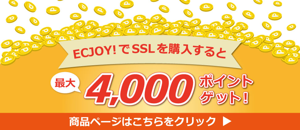 SSLwōő4000|Cgv[g@