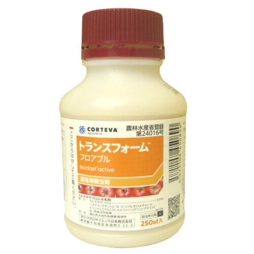 _EEAOTCGX gXtH[tAu 250ml