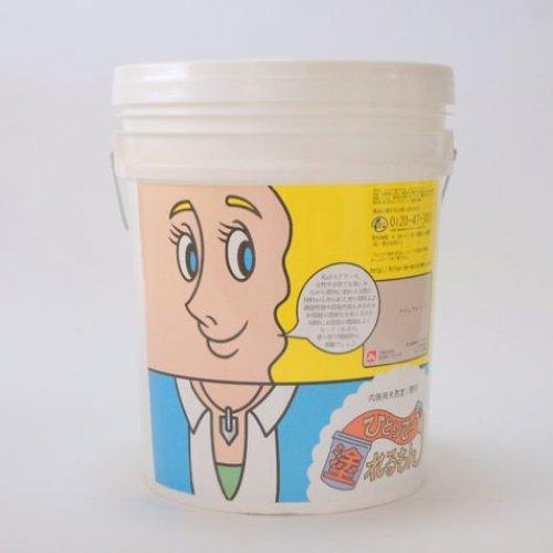 On the wall(IUEH[) ЂƂœh Re[k(i`x[W)22kg