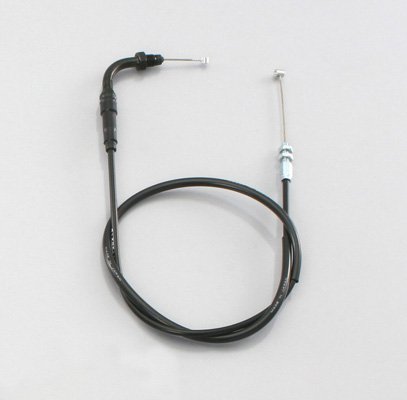 ANZC[ijPTOk(905-1138215)