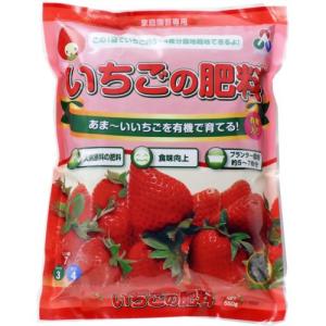 ̔엿 550g