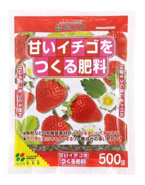 ÂC`S엿500g