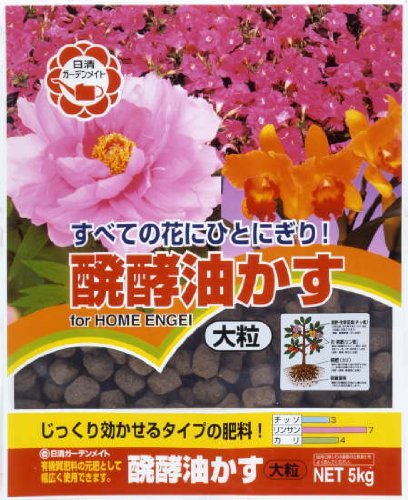 y 嗱 5kg