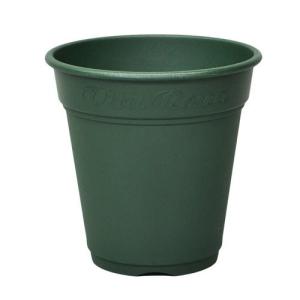 Abv [A|bg 240^ O[ AbvEGA[