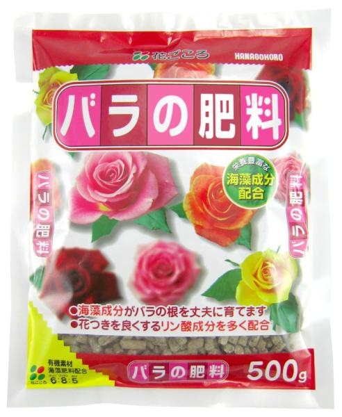 o̔엿500g