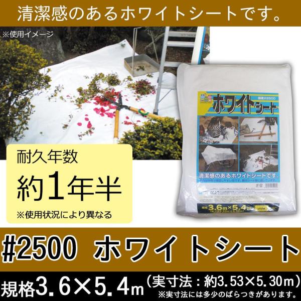  #2500 zCgV[g 3.6x5.4m OS3654W   6009 3778797