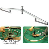 C-335 Z^[Q[W