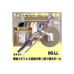XeXx_p̂ق X^h|[ DSL-10