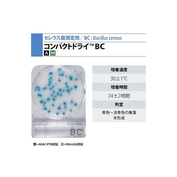 RpNghC@iZEXیop/4~10܁j  06533-BC 1(4~10ܓ)