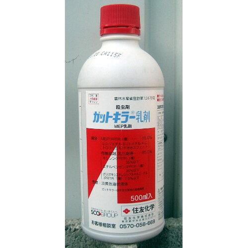 ZFw E KbgL[ 500ml