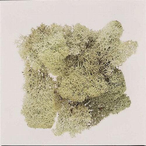 n_ EARTH MATTERS ACXhX 唠 500g N Xy{z (61073-000)