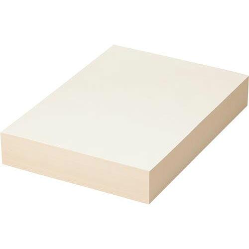 ItBXpJ[R100 A4 AC{[ 500