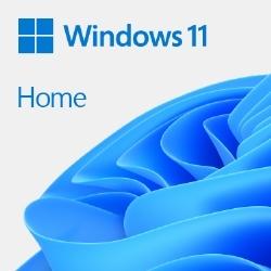 Win 11 Home 64Bit Japanese 1pk DSP OEI DVD(KW9-00643)