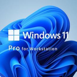 Win 11 Pro for Wrkstns 64Bit Japanese 1pk DSP OEI DVD(HZV-00112)