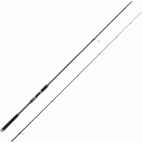 AuKVA(Abu Garcia) \eBXe[W vg^Cv CgVAWMO (SaltyStage ProtoType) XLSS-992M40