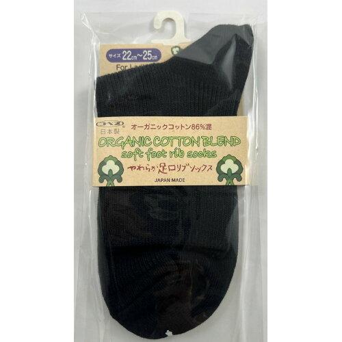 I[KjbNRbg炩u\bNX wlp ubN 22`25cm