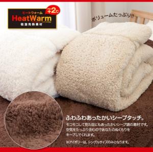 Ecjoy ナイスデイ Heat Warm発熱あったか2枚合わせ毛布 サイズ S 色 アイボリー Ecjoy ナイスデイ Heat Warm発熱あったか2枚合わせ毛布 サイズ S 色 アイボリー