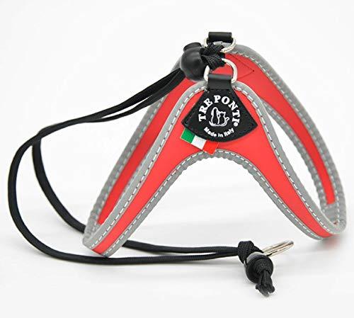 LTP104 x^ tNeBu2.5 bh