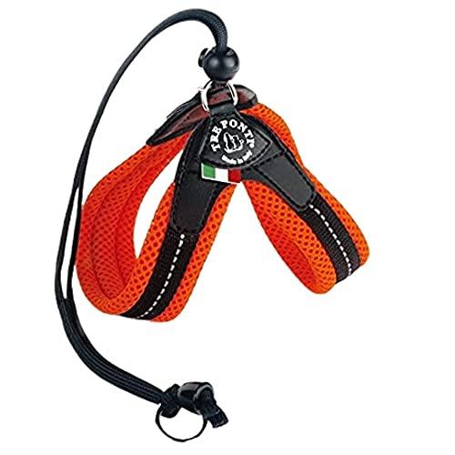 LTP110 x^ \tgbV2.5 IW TRE PONTI (g|eB)