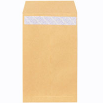 e[vtNtg p8 85g 1000(610)