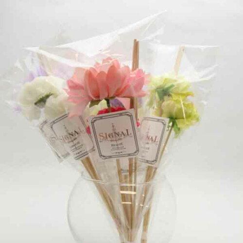 SIGNAL VOi t[t XeBbNtB K[x Gerbera { made in Japan (ki00299025)