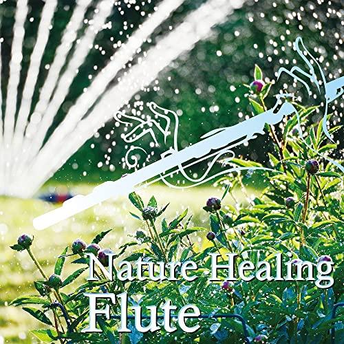 Nature Healing Flute ca