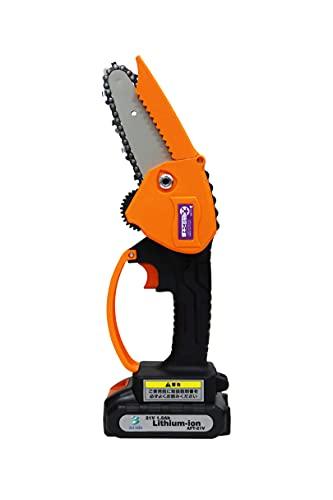 A~X [dK[fjO\[ AFT-21V