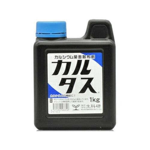 Ȍ 엿 J^X t 1kg
