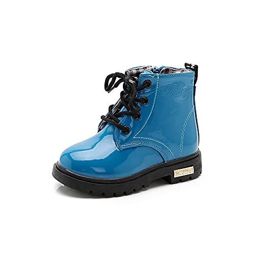 V{ʐ΂ V{ʑ䏊pA^Cv { 300ml 1{ySS7034178z