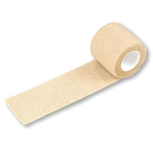 ^Pg s^bƃ^C 5.0cm ~ 4m 6 021510 (1728742)