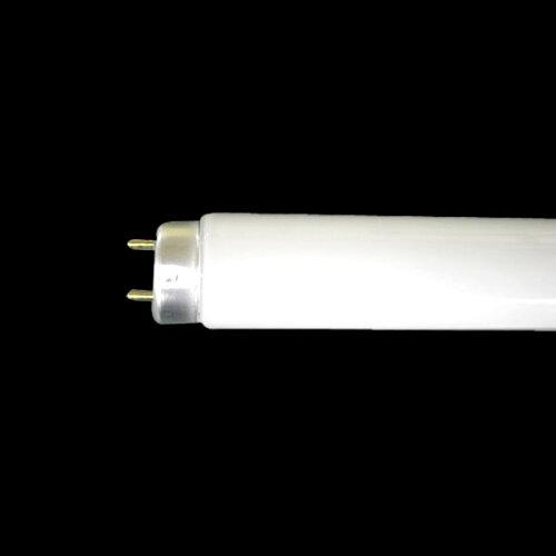 HotaluXOguv F ǃO[X^[^`20W` FL20SEX-N-HG2