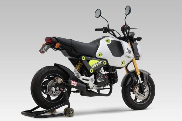 yKwOɎdlmFz21 GROM125  Xg[g762TCN (110A-43G-6660)