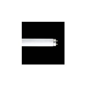 Hf`ǌu vFHF32EX-NF10{  FHF32EX-N