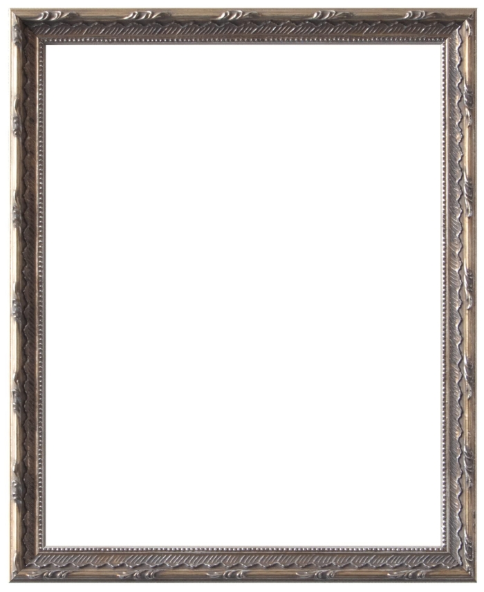 【2カラー】 額縁 プティカレ A4(内寸299x212mm) (LJC-7912210)