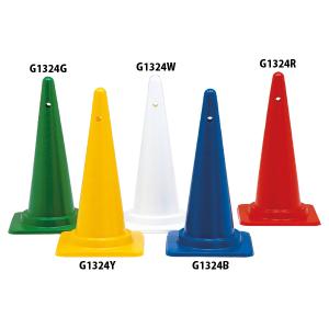 R[i[|CgMR2 (G1324R) g[GCCg