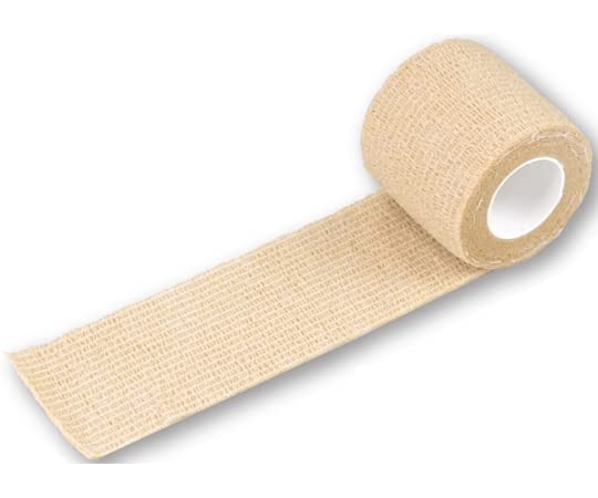 s^bƃ^C 5.0cm~4.5m(L) 021506 1(6)
