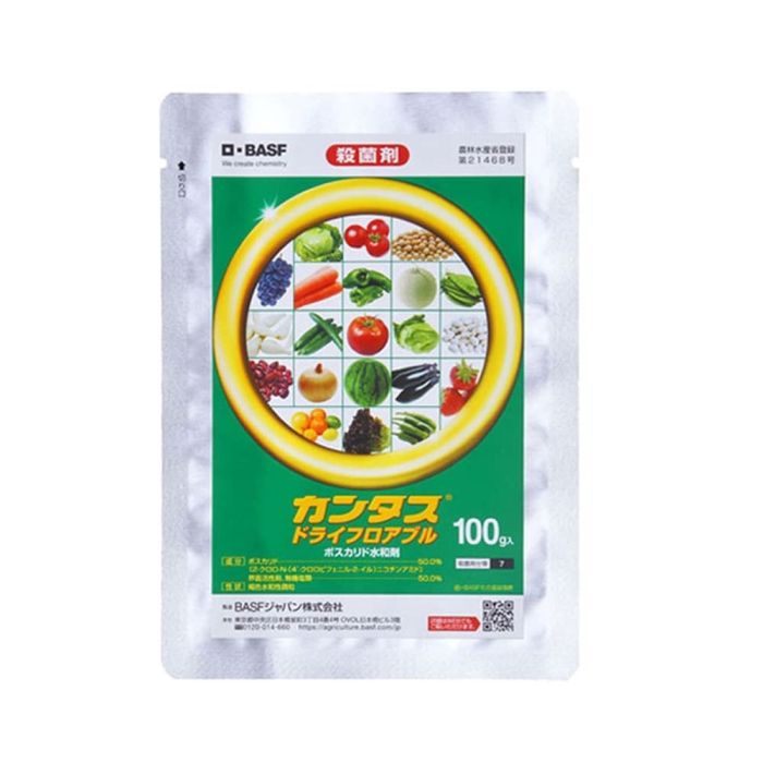 _ BASF J^XhC tAu 100g