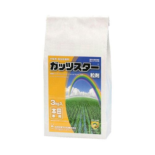 _ O䉻w KbcX^[ 3kg