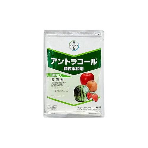 _ oCG AgR[a 500g