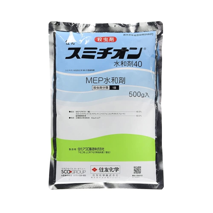 _ ZFw X~`Ia 500g