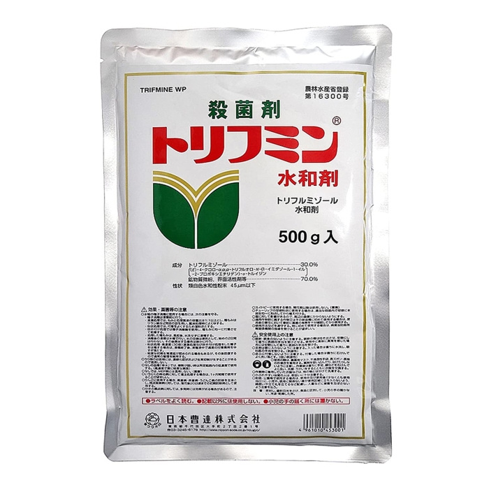 _ {B gt~a500g