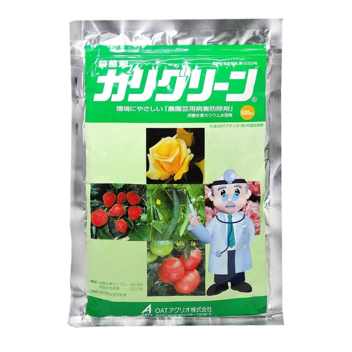 _ OATAOI JO[ 500g